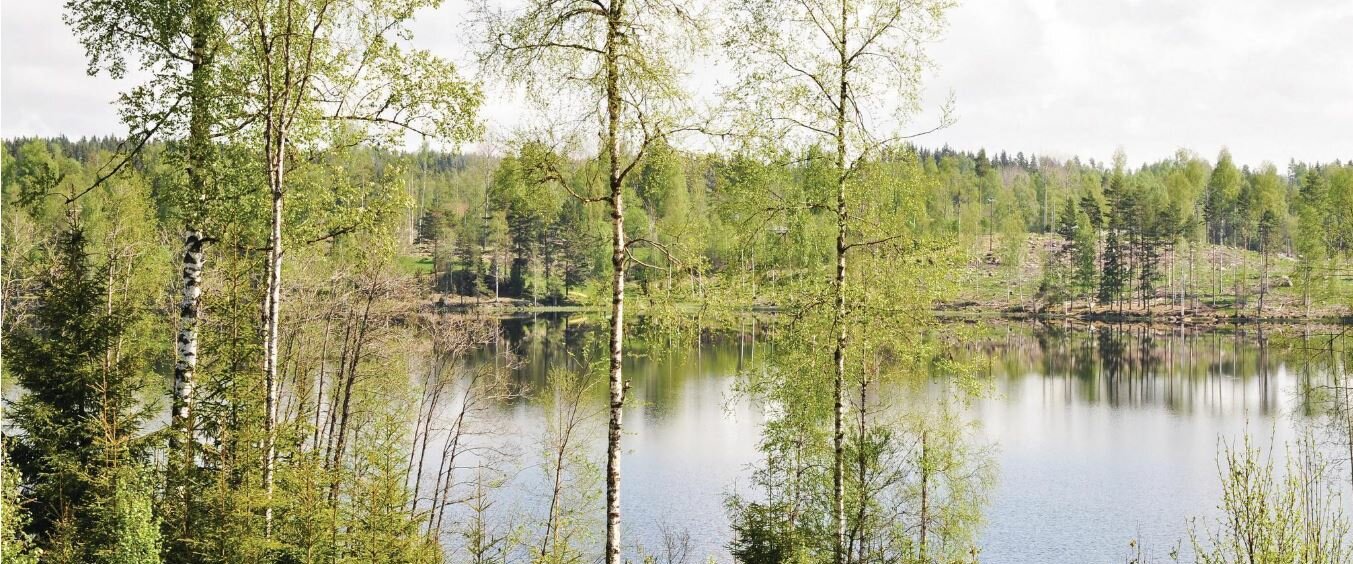 Nordsjön