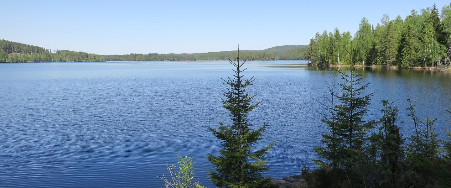 Nedre Lersjön