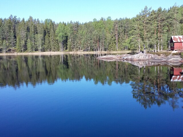 dammtjärnet