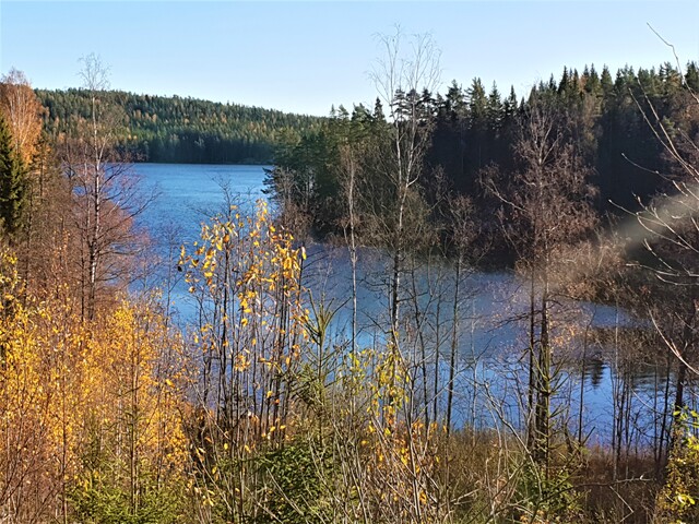 fjällsjön-öjenässjön-öjenässjön.jpg