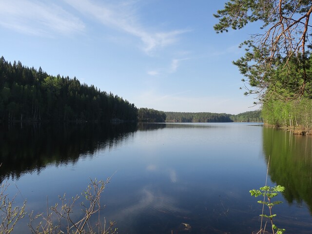 Fjällsjön Skillingmark