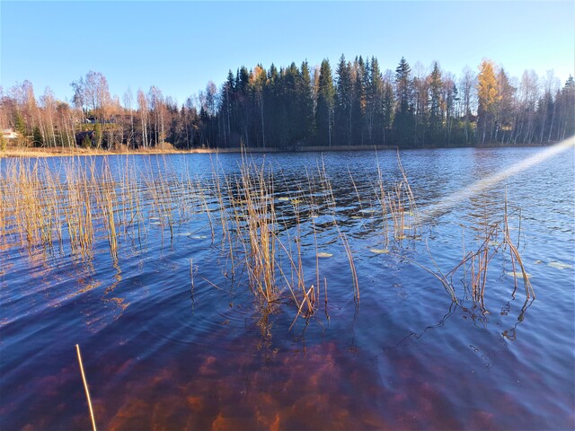 Stora-lillahög-nordsjön.jpg