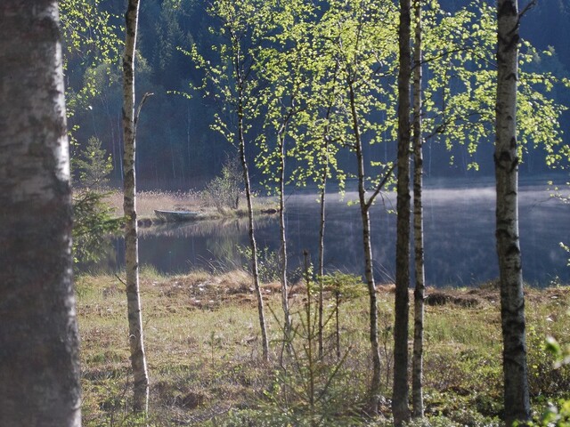 långtjärnet