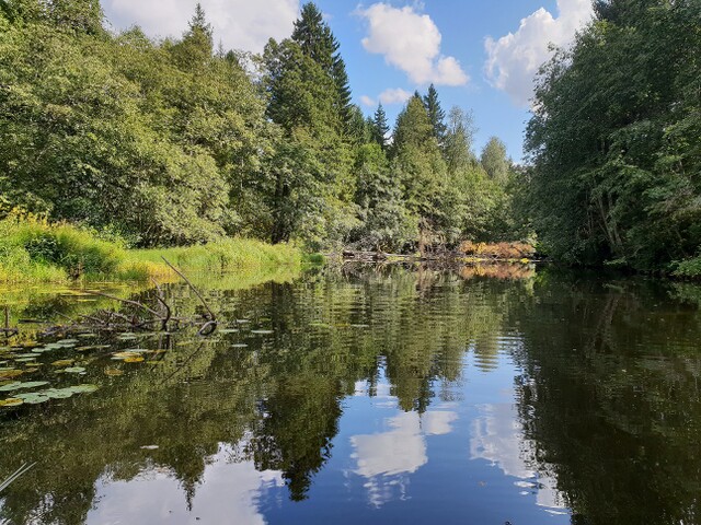 Vrångsälven Eda