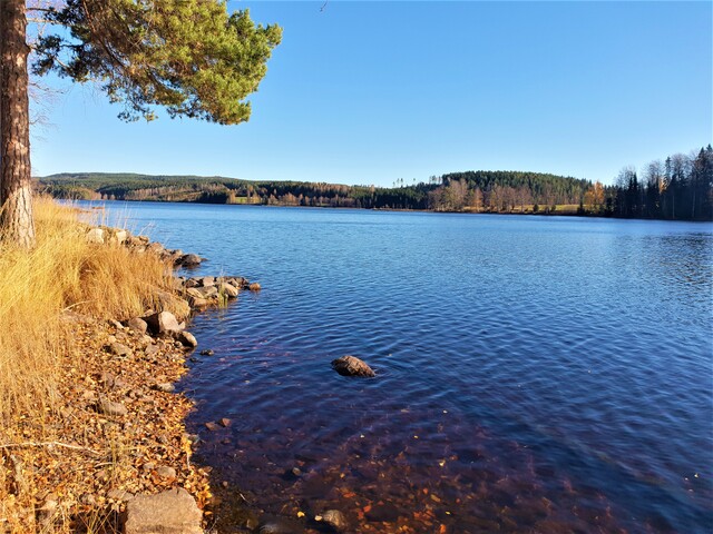 fjällsjön-öjenässjön-fjällsjön-långviken.jpg